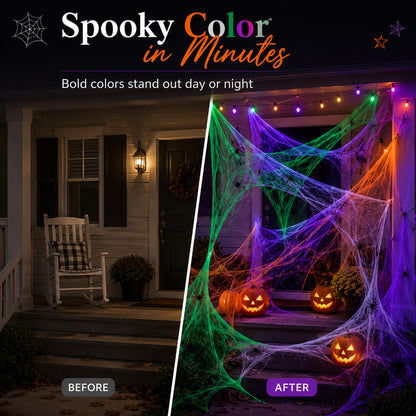 Realistic Halloween Spider Web Decoration with Spiders